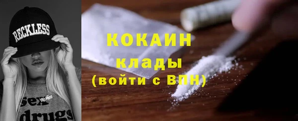 твердый Ладушкин