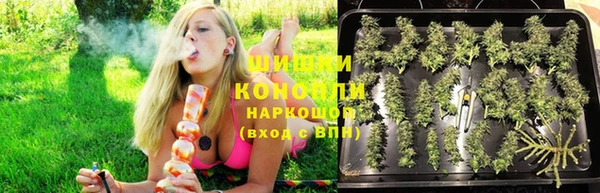 твердый Ладушкин