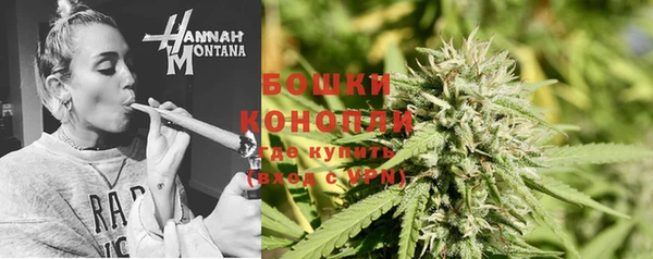твердый Ладушкин